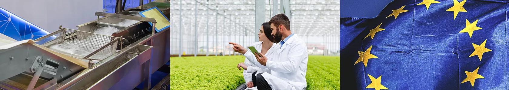 Оборудование, агропродовольственное производство и европейский рыночный контекст